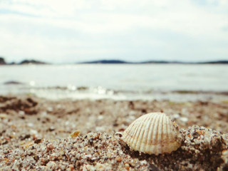 GeplakteAfbeelding-1