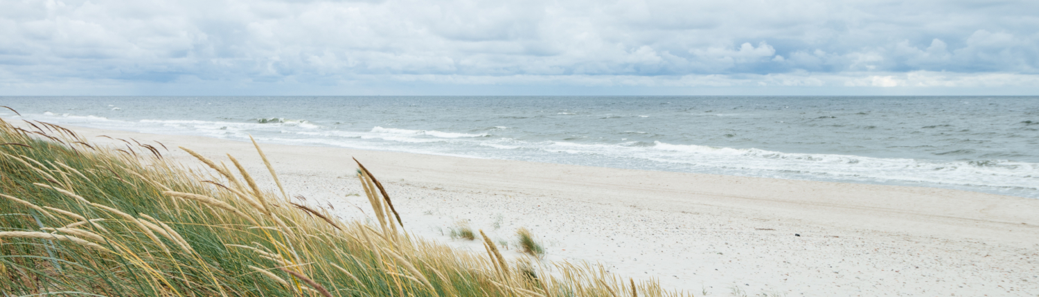 Sand dunes and grass on the beach.